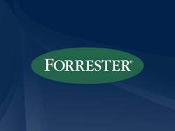 Forrester`s four-step approach to the groundswell