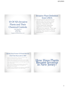 Pennsylvania`s 10 Worst Invasive Plants and Their Chemical Controls