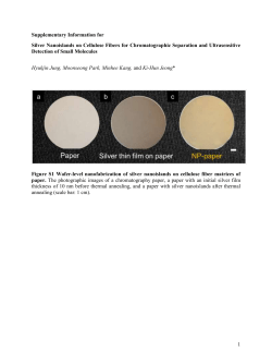 Supplementary Information (docx 1843K)