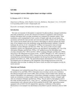 S25-006 Ion transport across chloroplast inner envelope vesicles
