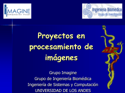 Proyectos en procesamiento de im&aacute;genes