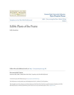 Edible Plants of the Prairie