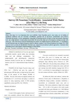Cite As: Survey Of Fusarium Verticillioides Associated With Maize