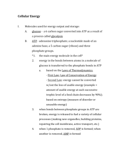 cell energy notes