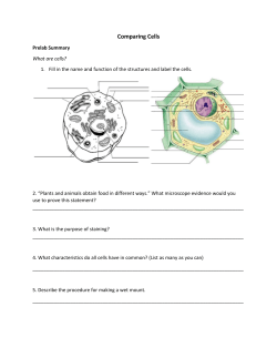 cell lab