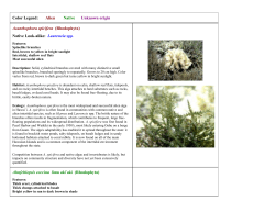 Color Legend: Alien Native Unknown origin Acanthophora spicifera