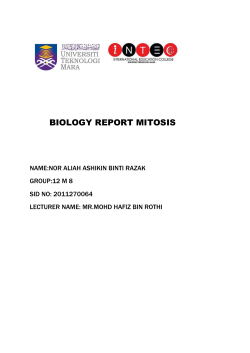 biology report mitosis