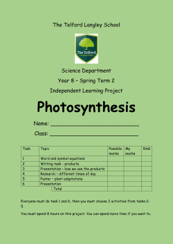 Photosynthesis - The Telford Park School