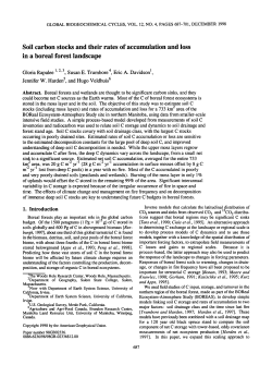 Soil Carbon stocks and their rates of accumulation and loss in a