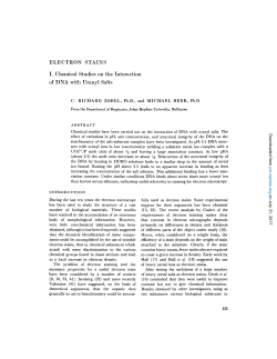 ELECTRON STAINS I. Chemical Studies on the Interaction of DNA