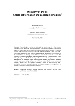 The agony of choice: Choice set formation and geographic mobility