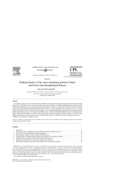 Folding kinetics of the outer membrane proteins OmpA and FomA