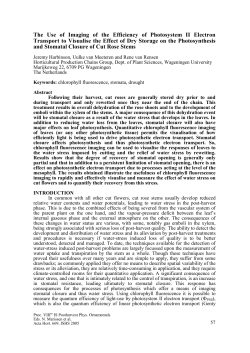The Use of Imaging of the Efficiency of Photosystem II Electron