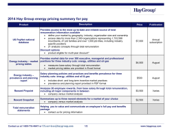 2014 Hay Group energy pricing summary for pay