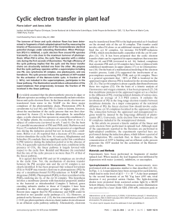 Cyclic electron transfer in plant leaf