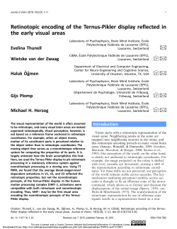 Retinotopic encoding of the Ternus-Pikler display reflected in the