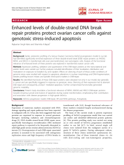 Enhanced levels of double-strand DNA break repair proteins protect