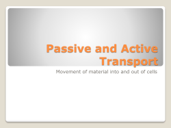 Passive and Active Transport
