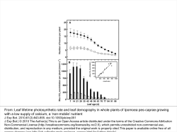 Leaf lifetime photosynthetic rate and leaf demography in whole