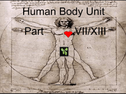 C6H12O6 + 6O2 = Released Energy + 6CO2 + 6H2O.