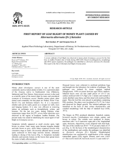 FIRST REPORT OF LEAF BLIGHT OF MONEY PLANT CAUSED BY