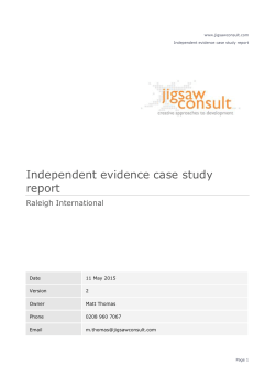 Jigsaw Consult Document