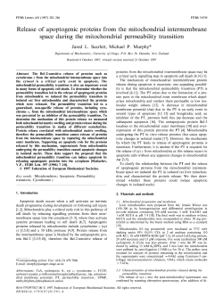 Release of apoptogenic proteins from the mitochondrial