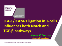 LFA-1/ICAM-1 ligation in T-cells influences both