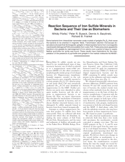 Reaction Sequence of Iron Sulfide Minerals in Bacteria