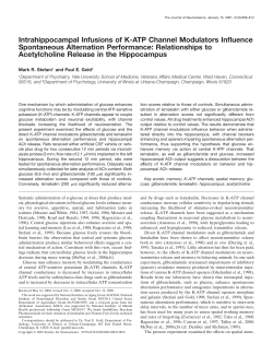 Intrahippocampal Infusions of K-ATP Channel Modulators Influence
