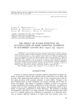 THE EFFECT OF WATER POTENTIAL ON
