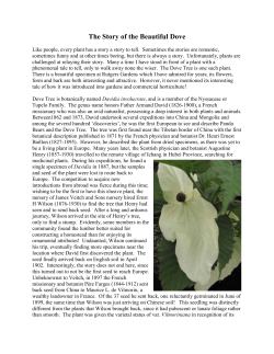 The Story of the Beautiful Dove Like people, every plant has a story