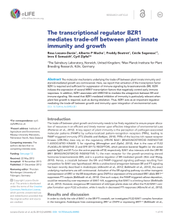 The transcriptional regulator BZR1 mediates trade