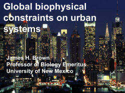 toward a metabolic theory of ecology