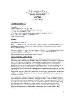 lir 823 organizational behavior