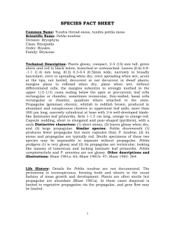 SPECIES FACT SHEET