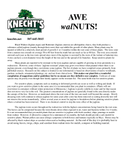 List of Juglone (Walnut) Tolerant Plants