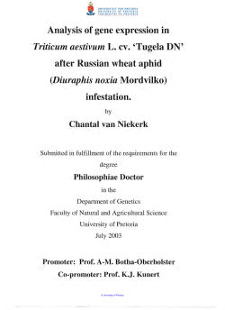Analysis of gene expression in Triticum aestivum L. ev. `Tugela DN