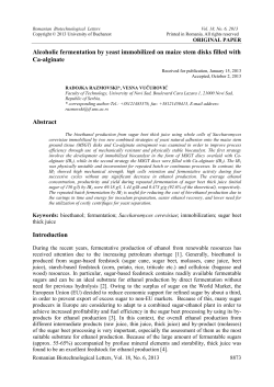 Alcoholic fermentation by yeast immobilized on maize stem disks