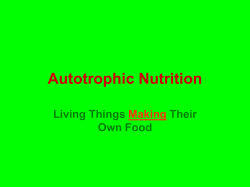 Autotrophic Nutrition