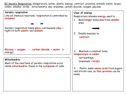 B2 Aerobic Respiration