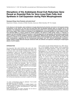 Disruptions of the Arabidopsis Enoyl-CoA Reductase