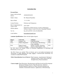 Curriculum Vitae