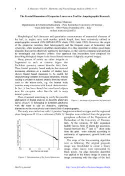The fractal dimension of grapevine leaves as a tool for