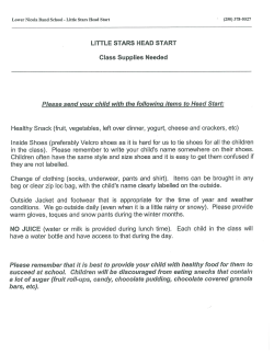 fruit, vegetables, Ieft over dinner, yogurt, cheese and crackers, etc