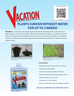 PLANTS SURVIVE WITHOUT WATER FOR UP TO 2 WEEKS!