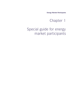 Chapter 1 Special guide for energy market