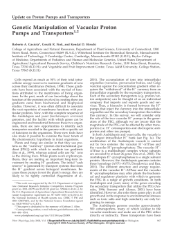 Genetic Manipulation of Vacuolar Proton Pumps