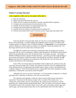Lab 6. Structure and Function of cells