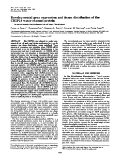 Developmental gene expression and tissue